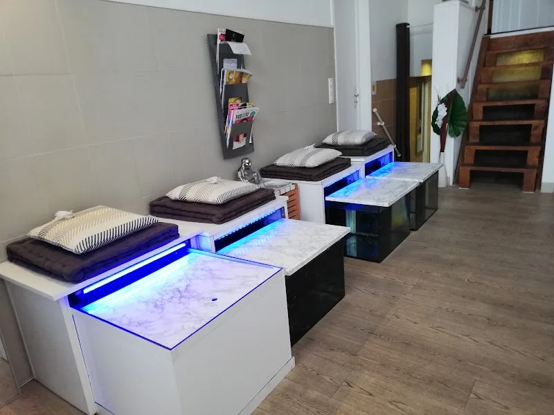 l'Atelier Bien Etre. Massages, Réflexologie Plantaire, Traitement anti cellulite