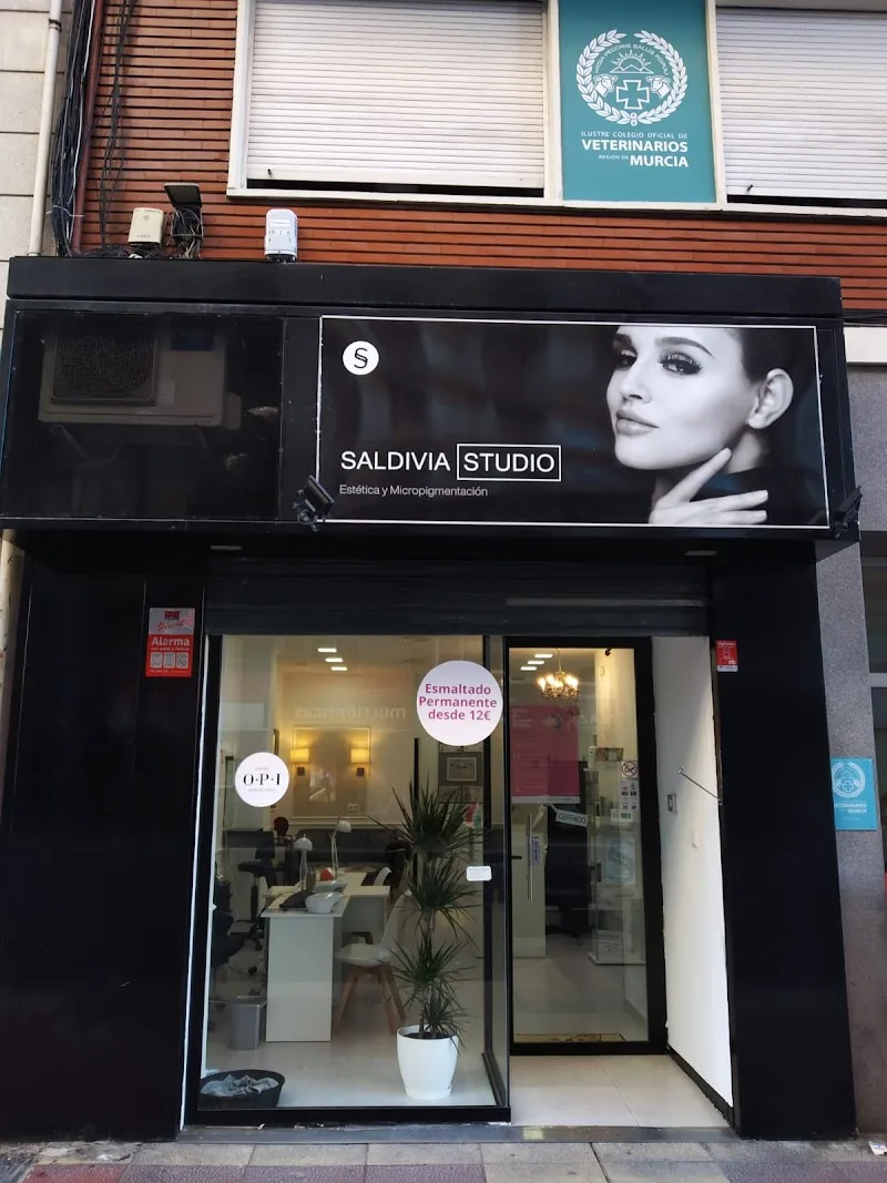 Centro de Estética Saldivia Studio