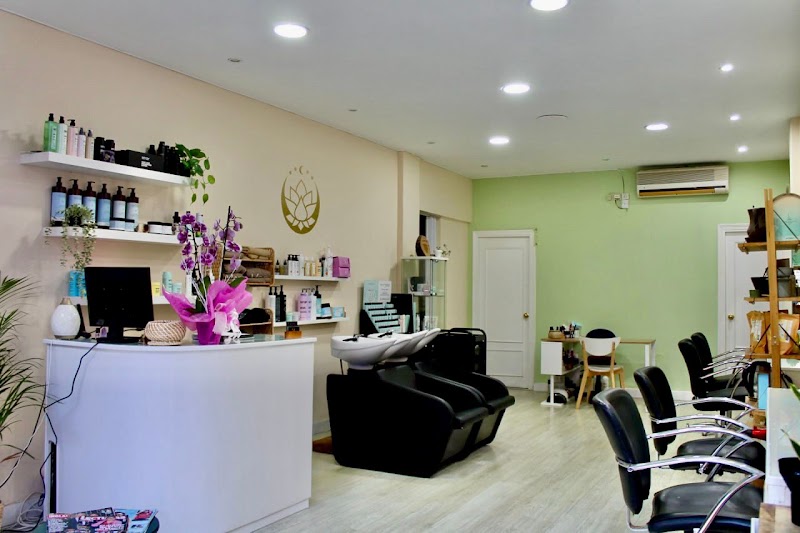 Peluquería Eva Alonso - Coiffure Gijón - OneBooking